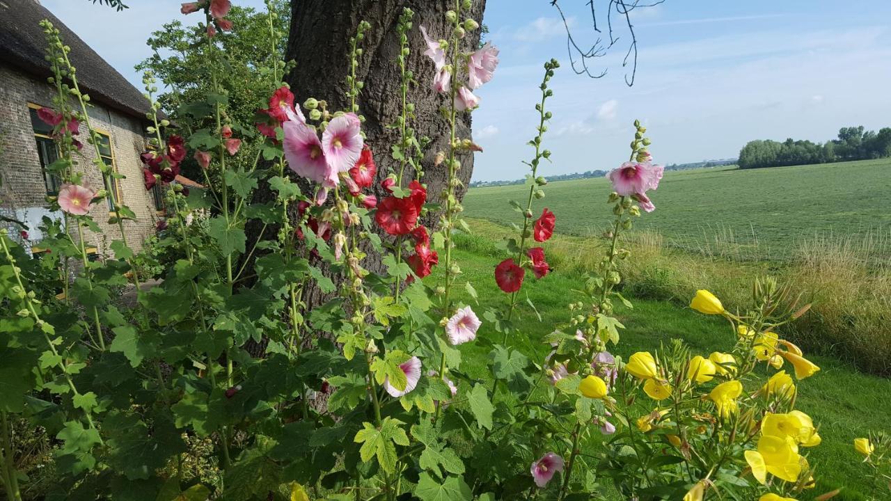 B&B Rechthuis Van Zouteveen Schipluiden Exteriör bild